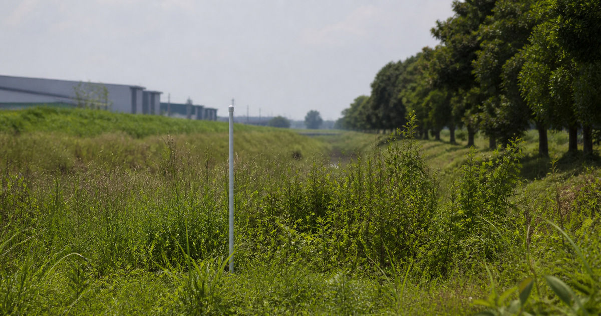 Unmarked field marker in a vegetated buffer beside Selangor industrial land
